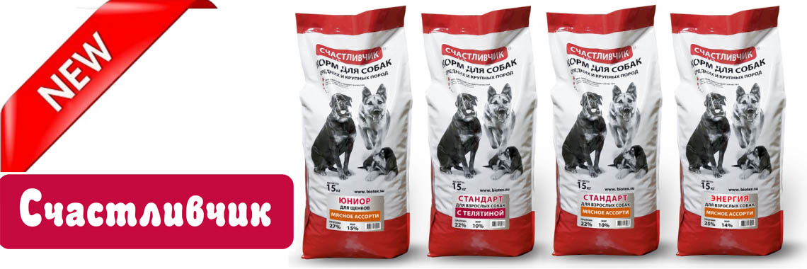 счастливчик