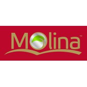 MOLINA