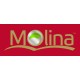MOLINA