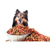 Акции для Собак