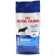 АКЦИЯ! (15,0+3,0) Royal Canin Maxi Junior, для щенков собак крупных размеров, 15,0+3,0 кг
