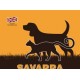 SAVARRA
