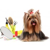 Уход за животными