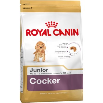 Royal Canin Cocker Junior, для щенков кокер-спаниелей до 12 мес, 3 кг Royal Canin Cocker Junior, для щенков кокер-спаниелей до 12 мес, 3 кг