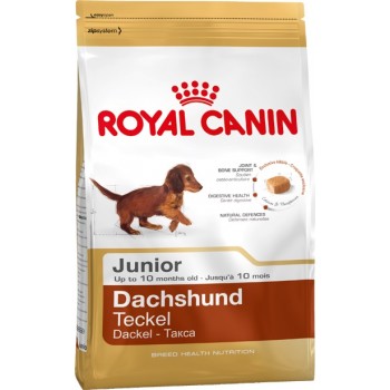 Royal Canin Dachshund Junior, для щенков породы такса до 10 мес, 1,5 кг